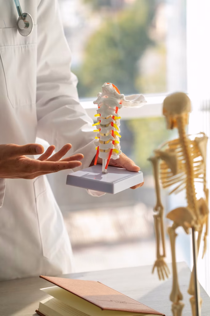 Bone-on-bone arthritis evaluation Concord NC